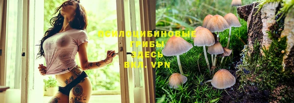 альфа пвп Баксан