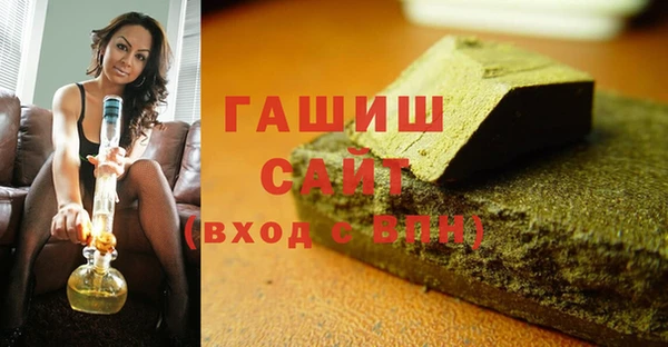 индика Беломорск