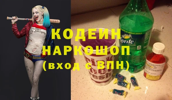 индика Беломорск