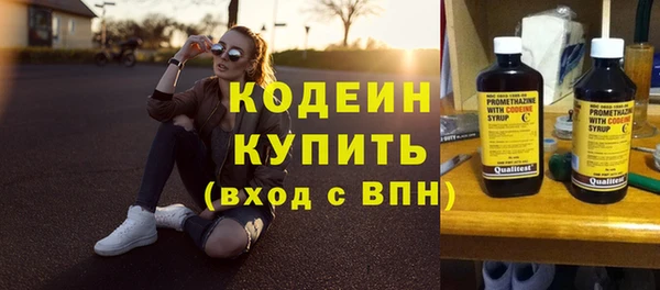 индика Беломорск