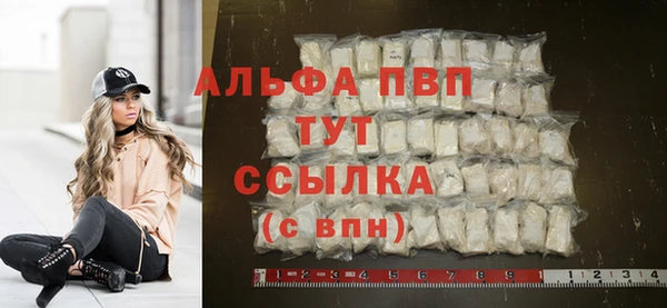 индика Беломорск