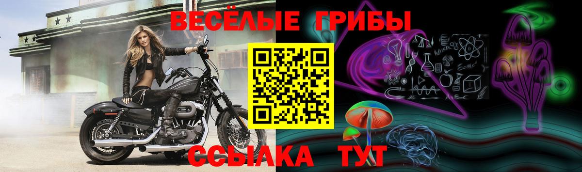Меф МЯУ МЯУ   Гашиш  КОКАИН  Кувандык  Вход с VPN  Alpha PVP СК   Бошки Шишки  ГАШИШ 